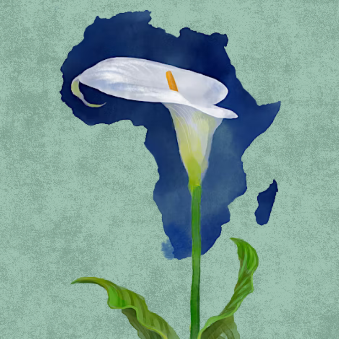 Discovery Celebrating The Rise Of Africa (1) | Unity San Francisco